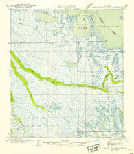 Golden Meadow Farms Louisiana Historical topographic map, 1:31680 scale, 7.5 X 7.5 Minute, Year 1954