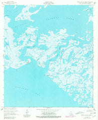 Grand Bayou Du Large Louisiana Historical topographic map, 1:24000 scale, 7.5 X 7.5 Minute, Year 1953
