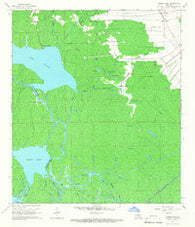 Grassy Lake Louisiana Historical topographic map, 1:24000 scale, 7.5 X 7.5 Minute, Year 1965
