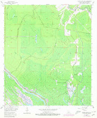 Grosse Tete SW Louisiana Historical topographic map, 1:24000 scale, 7.5 X 7.5 Minute, Year 1953