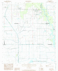 Hayes Louisiana Historical topographic map, 1:24000 scale, 7.5 X 7.5 Minute, Year 1984