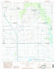 Hayes Louisiana Historical topographic map, 1:24000 scale, 7.5 X 7.5 Minute, Year 1984