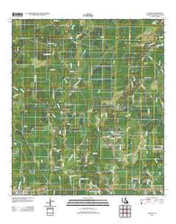 Holden Louisiana Historical topographic map, 1:24000 scale, 7.5 X 7.5 Minute, Year 2012