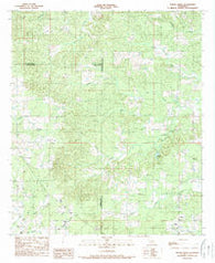 Hollis Creek Louisiana Historical topographic map, 1:24000 scale, 7.5 X 7.5 Minute, Year 1989