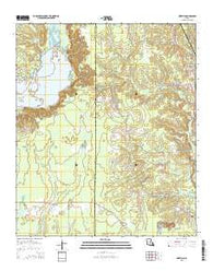 Hortman Louisiana Current topographic map, 1:24000 scale, 7.5 X 7.5 Minute, Year 2015
