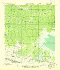 Lac Des Allemands SW Louisiana Historical topographic map, 1:31680 scale, 7.5 X 7.5 Minute, Year 1932