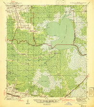 Lac Des Allemands Louisiana Historical topographic map, 1:62500 scale, 15 X 15 Minute, Year 1941