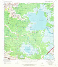 Lac Des Allemands Louisiana Historical topographic map, 1:62500 scale, 15 X 15 Minute, Year 1962