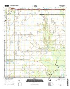 Lacassine Louisiana Current topographic map, 1:24000 scale, 7.5 X 7.5 Minute, Year 2015