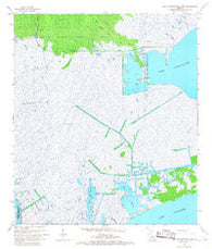 Lake Cataouatche West Louisiana Historical topographic map, 1:24000 scale, 7.5 X 7.5 Minute, Year 1967