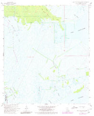 Lake Cataouatche West Louisiana Historical topographic map, 1:24000 scale, 7.5 X 7.5 Minute, Year 1967
