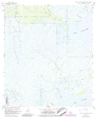 Lake Cataouatche West Louisiana Historical topographic map, 1:24000 scale, 7.5 X 7.5 Minute, Year 1967