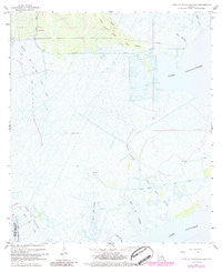 Lake Cataouatche West Louisiana Historical topographic map, 1:24000 scale, 7.5 X 7.5 Minute, Year 1967
