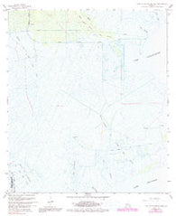Lake Cataouatche West Louisiana Historical topographic map, 1:24000 scale, 7.5 X 7.5 Minute, Year 1967