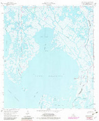 Lake Felicity Louisiana Historical topographic map, 1:24000 scale, 7.5 X 7.5 Minute, Year 1964
