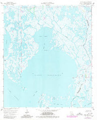 Lake Felicity Louisiana Historical topographic map, 1:24000 scale, 7.5 X 7.5 Minute, Year 1964