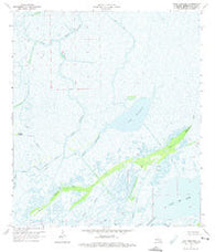 Lake Penchant Louisiana Historical topographic map, 1:24000 scale, 7.5 X 7.5 Minute, Year 1964