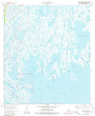 Lake Tambour Louisiana Historical topographic map, 1:24000 scale, 7.5 X 7.5 Minute, Year 1964