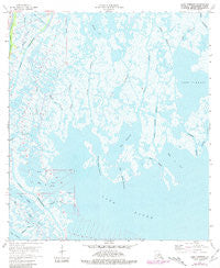 Lake Tambour Louisiana Historical topographic map, 1:24000 scale, 7.5 X 7.5 Minute, Year 1964