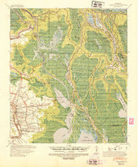Loreauville Louisiana Historical topographic map, 1:62500 scale, 15 X 15 Minute, Year 1941