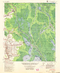 Loreauville Louisiana Historical topographic map, 1:62500 scale, 15 X 15 Minute, Year 1954