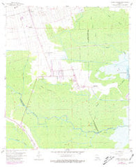 Lower Vacherie Louisiana Historical topographic map, 1:24000 scale, 7.5 X 7.5 Minute, Year 1962