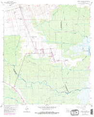Lower Vacherie Louisiana Historical topographic map, 1:24000 scale, 7.5 X 7.5 Minute, Year 1962