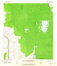 Madewood Louisiana Historical topographic map, 1:24000 scale, 7.5 X 7.5 Minute, Year 1962