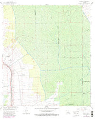 Madewood Louisiana Historical topographic map, 1:24000 scale, 7.5 X 7.5 Minute, Year 1962
