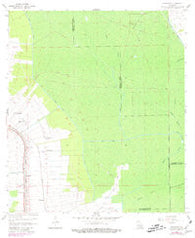 Madewood Louisiana Historical topographic map, 1:24000 scale, 7.5 X 7.5 Minute, Year 1962