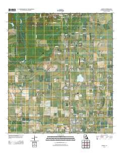 Mamou Louisiana Historical topographic map, 1:24000 scale, 7.5 X 7.5 Minute, Year 2012