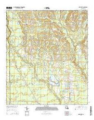 Martinville Louisiana Current topographic map, 1:24000 scale, 7.5 X 7.5 Minute, Year 2015