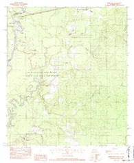 Merryville South Louisiana Historical topographic map, 1:24000 scale, 7.5 X 7.5 Minute, Year 1982