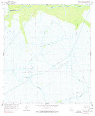 Morgan City SE Louisiana Historical topographic map, 1:24000 scale, 7.5 X 7.5 Minute, Year 1966