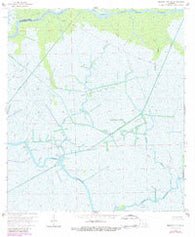 Morgan City SE Louisiana Historical topographic map, 1:24000 scale, 7.5 X 7.5 Minute, Year 1966