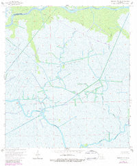 Morgan City SE Louisiana Historical topographic map, 1:24000 scale, 7.5 X 7.5 Minute, Year 1966