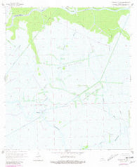 Morgan City SE Louisiana Historical topographic map, 1:24000 scale, 7.5 X 7.5 Minute, Year 1966