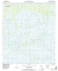 Morgan City SE Louisiana Historical topographic map, 1:24000 scale, 7.5 X 7.5 Minute, Year 1994