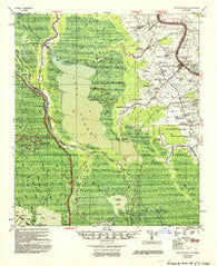 Napoleonville Louisiana Historical topographic map, 1:62500 scale, 15 X 15 Minute, Year 1953