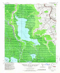 Napoleonville Louisiana Historical topographic map, 1:62500 scale, 15 X 15 Minute, Year 1953