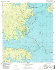 Negreet SW Texas Historical topographic map, 1:24000 scale, 7.5 X 7.5 Minute, Year 1985
