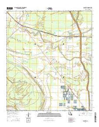 Palmetto Louisiana Current topographic map, 1:24000 scale, 7.5 X 7.5 Minute, Year 2015