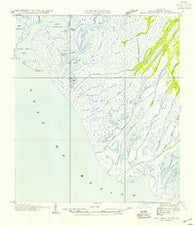 Pass Tante Phine Louisiana Historical topographic map, 1:31680 scale, 7.5 X 7.5 Minute, Year 1954
