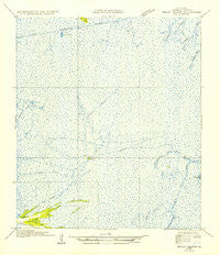 Pecan Island NE Louisiana Historical topographic map, 1:31680 scale, 7.5 X 7.5 Minute, Year 1954