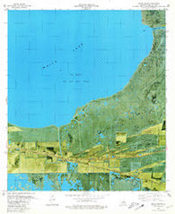 Pecan Island Louisiana Historical topographic map, 1:24000 scale, 7.5 X 7.5 Minute, Year 1979