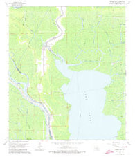 Pierre Part Louisiana Historical topographic map, 1:24000 scale, 7.5 X 7.5 Minute, Year 1966