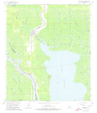 Pierre Part Louisiana Historical topographic map, 1:24000 scale, 7.5 X 7.5 Minute, Year 1966
