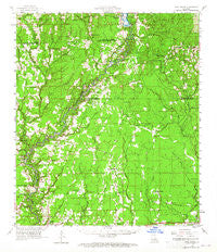 Pine Grove Louisiana Historical topographic map, 1:62500 scale, 15 X 15 Minute, Year 1958
