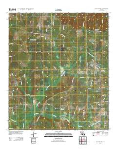 Pleasant Hill Louisiana Historical topographic map, 1:24000 scale, 7.5 X 7.5 Minute, Year 2012