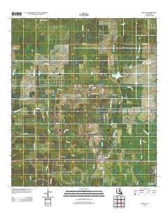 Reeves Louisiana Historical topographic map, 1:24000 scale, 7.5 X 7.5 Minute, Year 2012